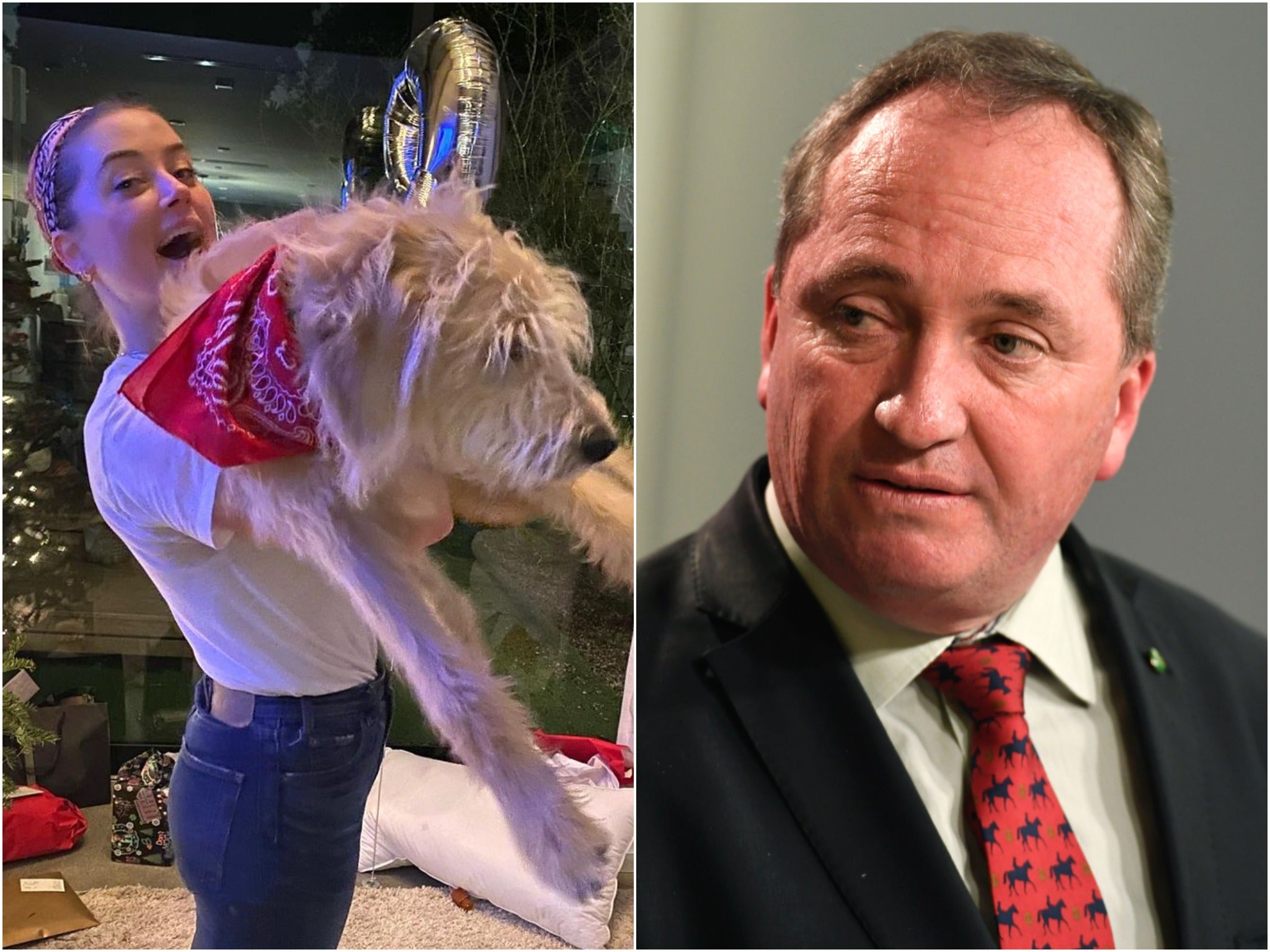 Actor Amber Heard and Australian deputy PM Barnaby Joyce