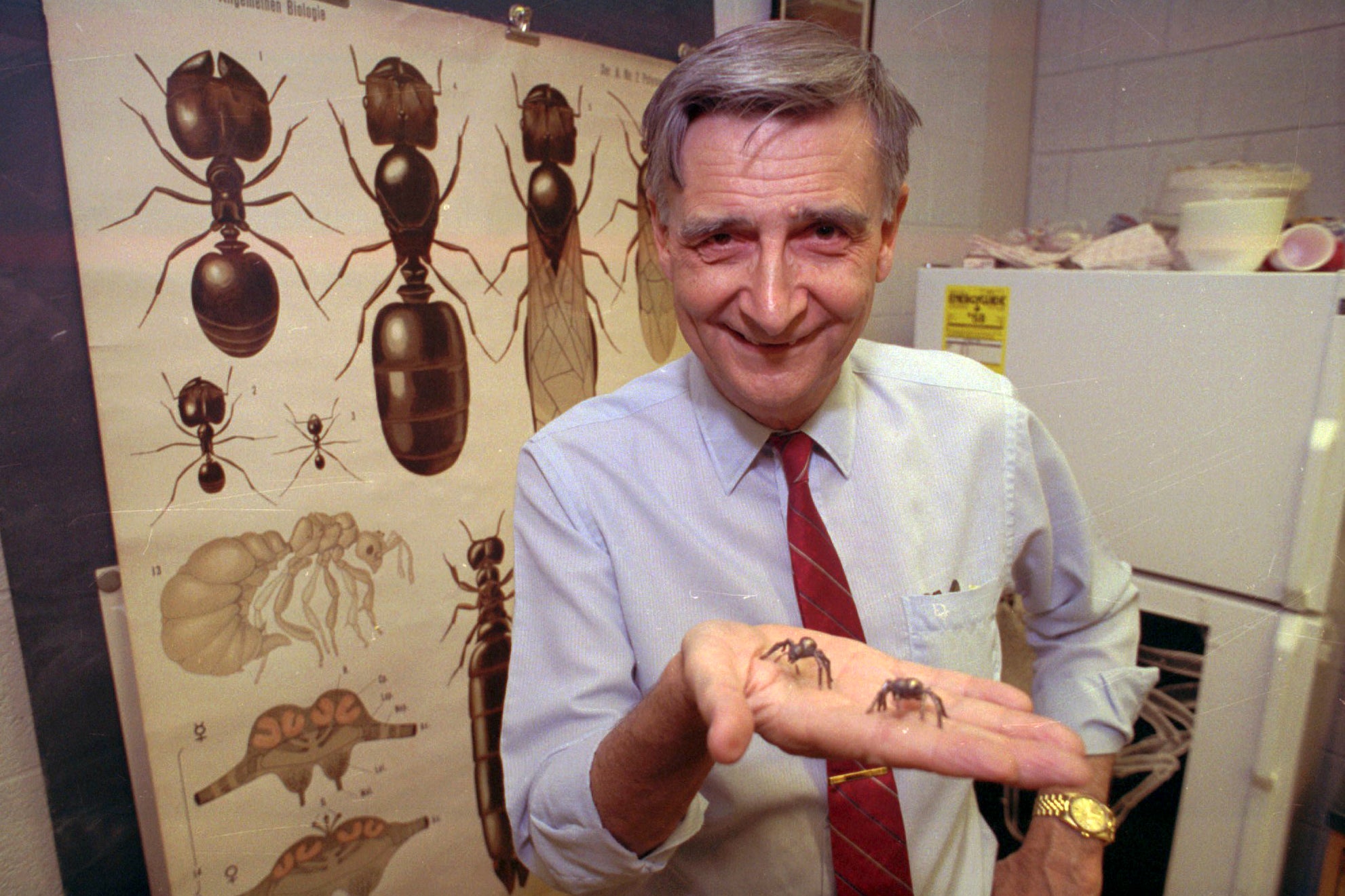 Edward O Wilson