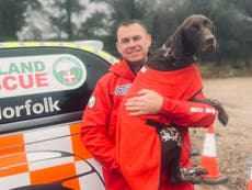 Missing search and rescue dog Juno reunited with owner six days after ‘vanishing’ in Norfolk