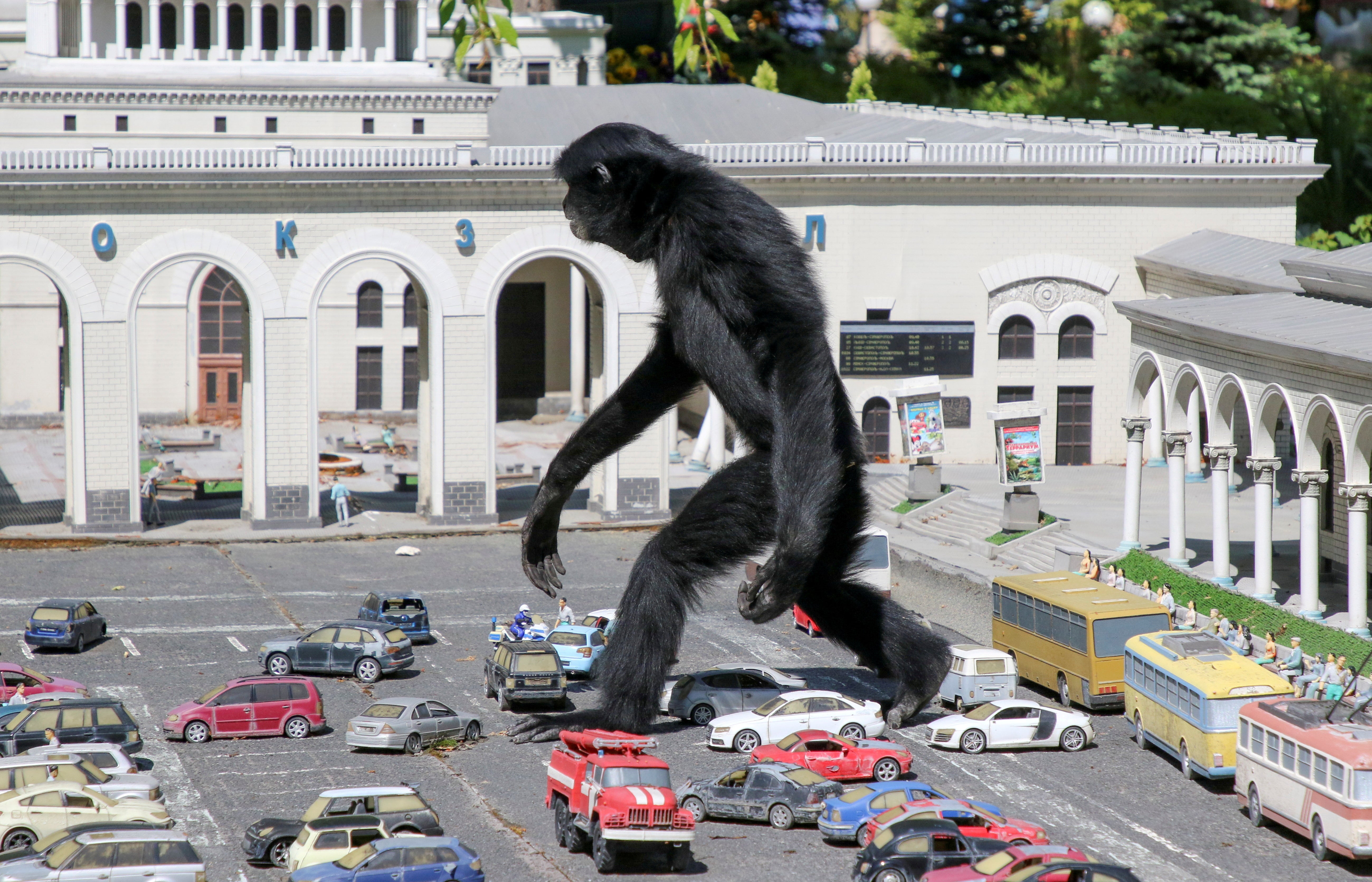 A gibbon walks amid models of vehicles at a zoo in the park of miniatures in Bakhchisaray, Crimea