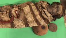 Human DNA recovered from ‘lice glue’ on ancient mummies shed light on South American ancestry