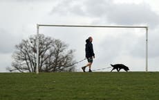 No need for thermals as New Year’s Eve temperatures set to break records