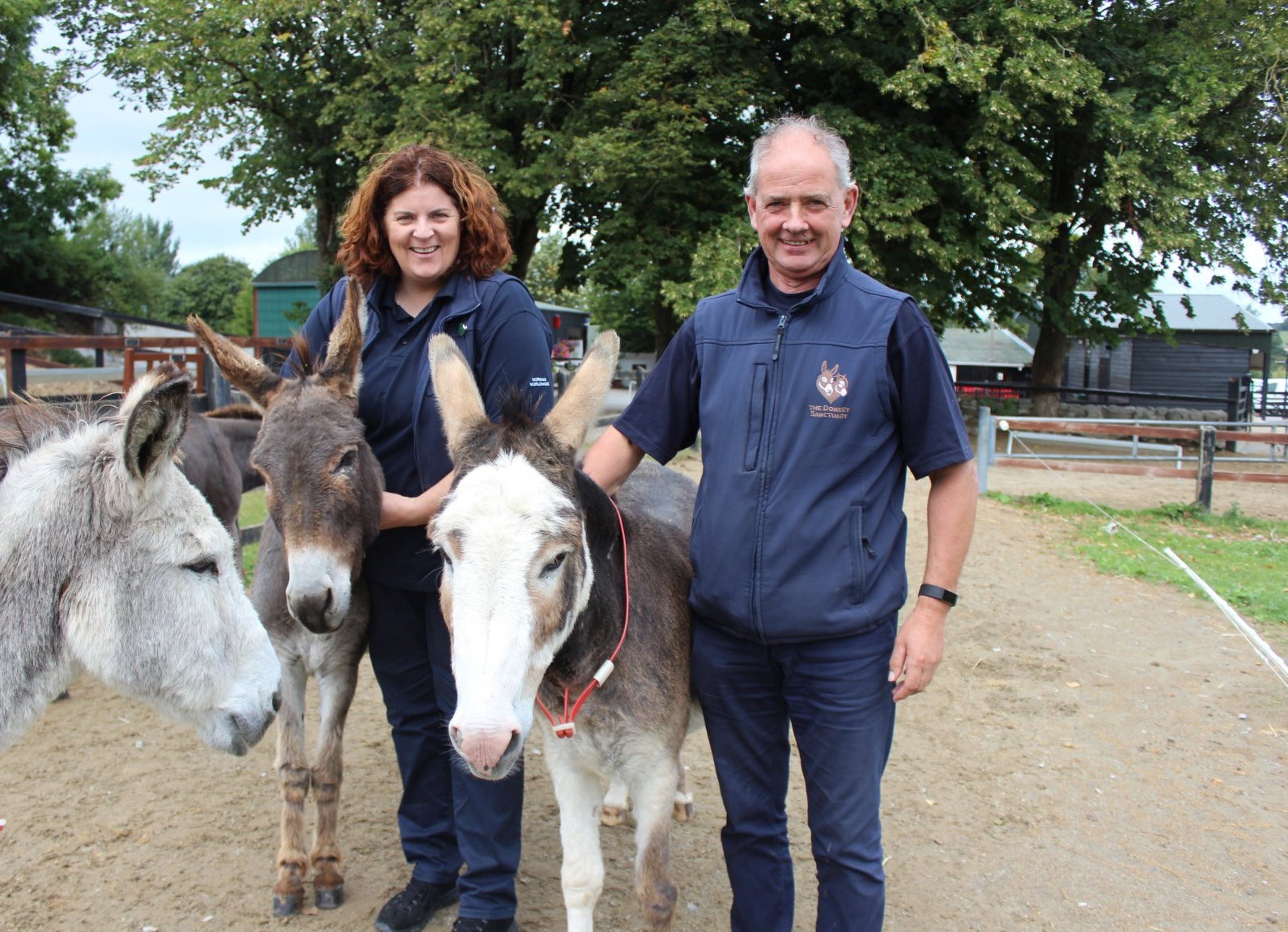 Donkey Sanctuary Ireland said the number of donkeys requiring to be rescued is escalating (Donkey Sanctuary Ireland/PA)