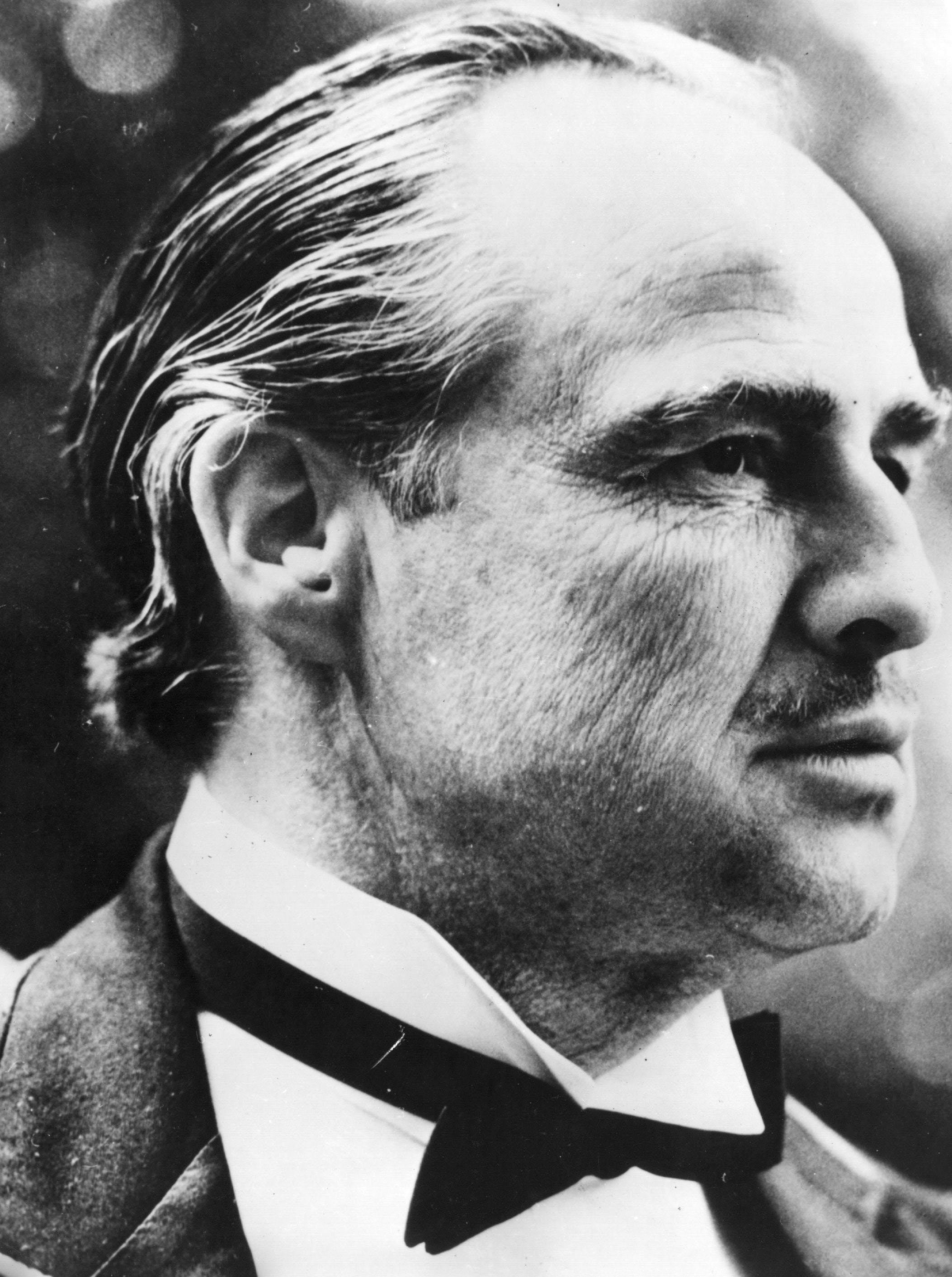 Marlon Brando in ‘The Godfather’