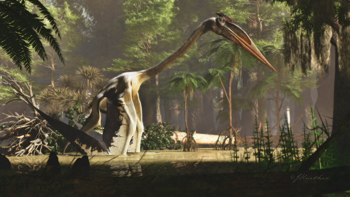 Artist’s interpretation of ‘Quetzalcoatlus northropi’ wading in the water