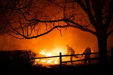 Aerial videos show devastation across Colorado as fire declared most destructive in history