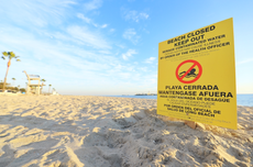 Los Angeles beaches closed as up to four million gallons of untreated sewage spills across seven miles