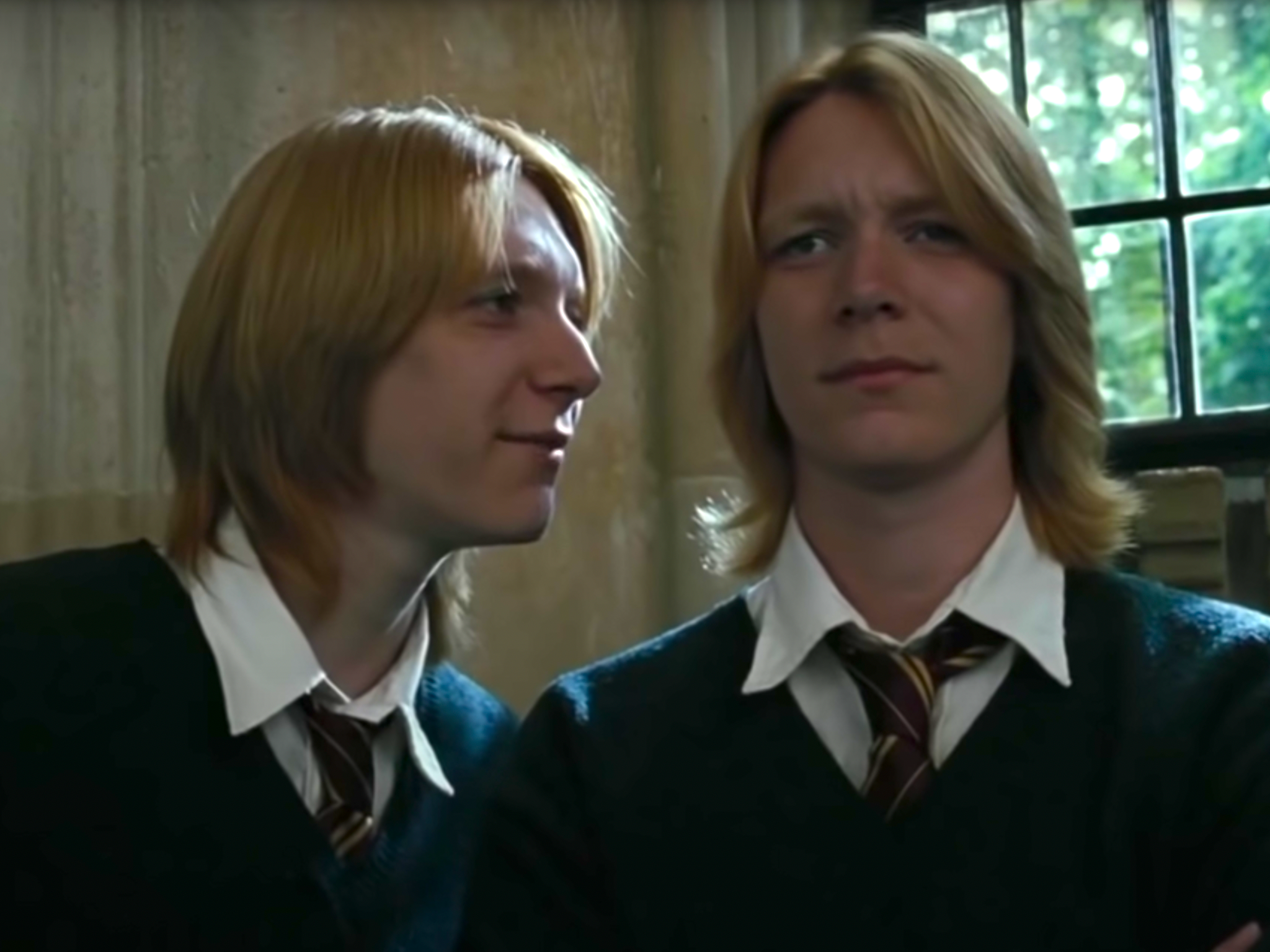 The Weasley twins