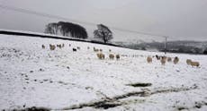 Cold weather warning as temperatures to drop from record-breaking seasonal highs