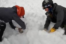Two university students rescue dog buried in avalanche: ‘I think they saved his life’