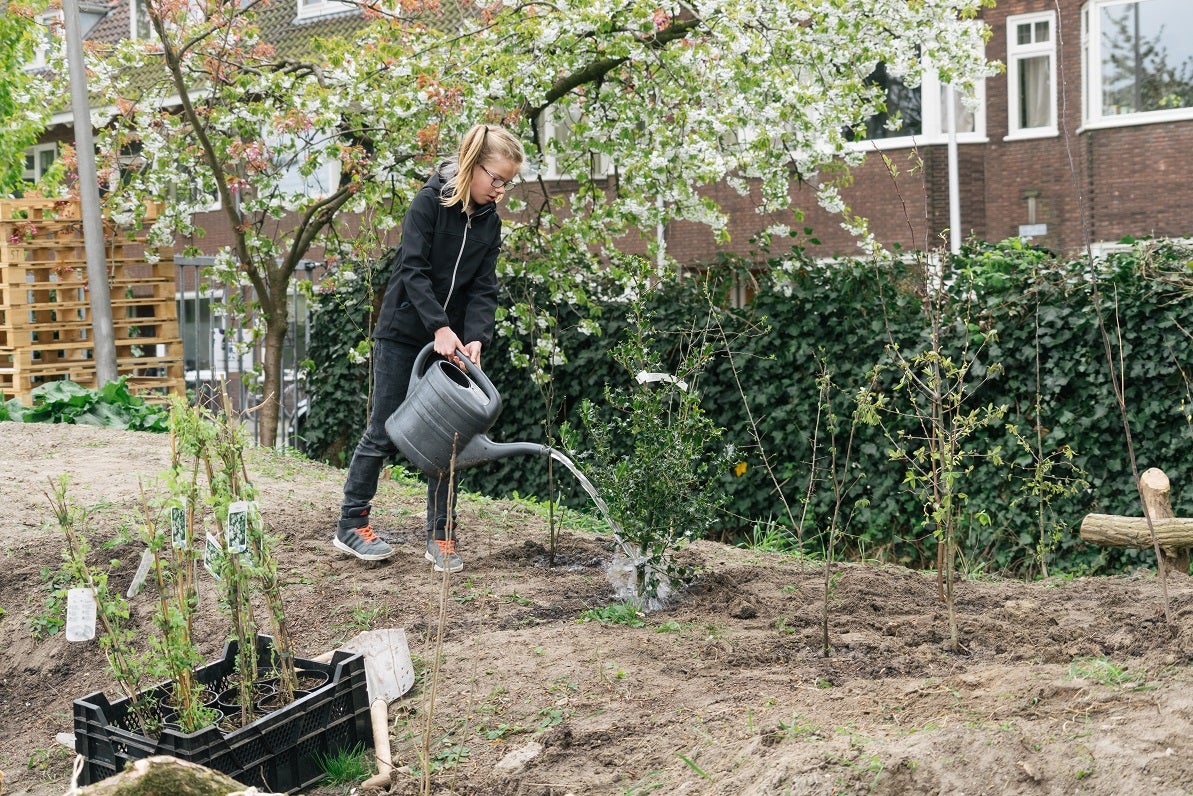 The trees will be planted using the tiny forests method (Earthwatch)