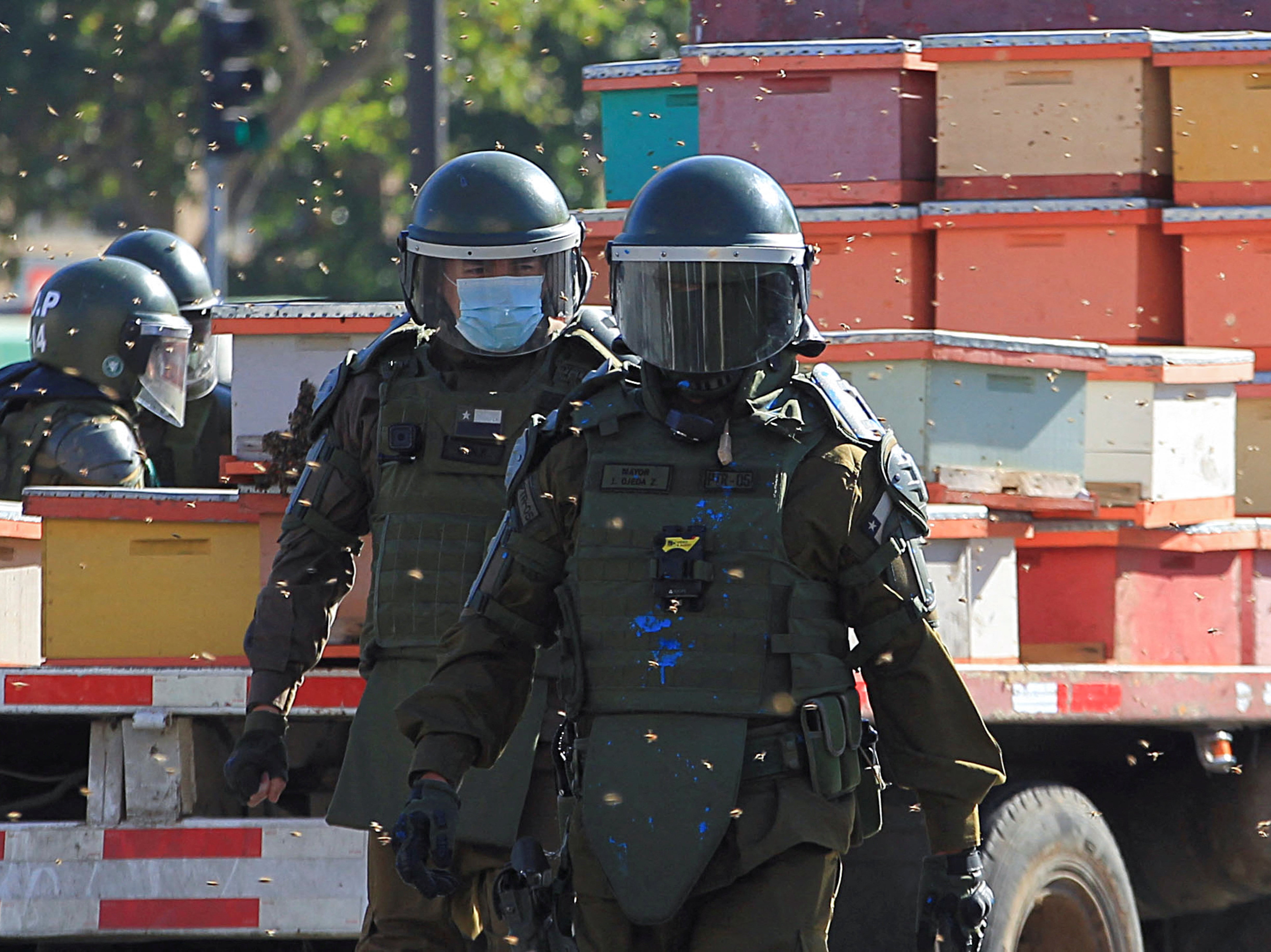 Bees fly around riot police during a protest in Chile