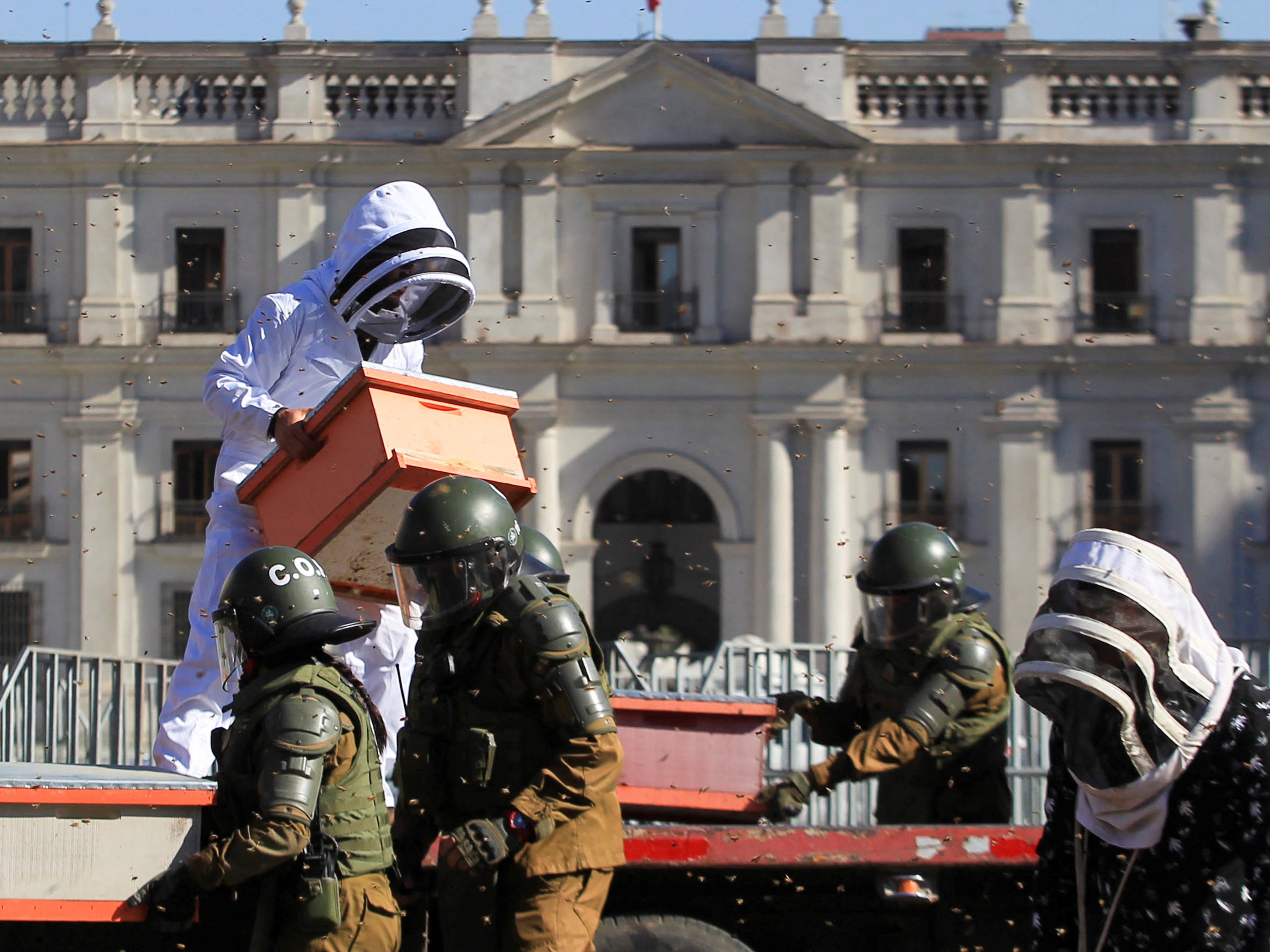 Beekeepers protest with honeycombs full of bees in front of the Chilean presidential palace