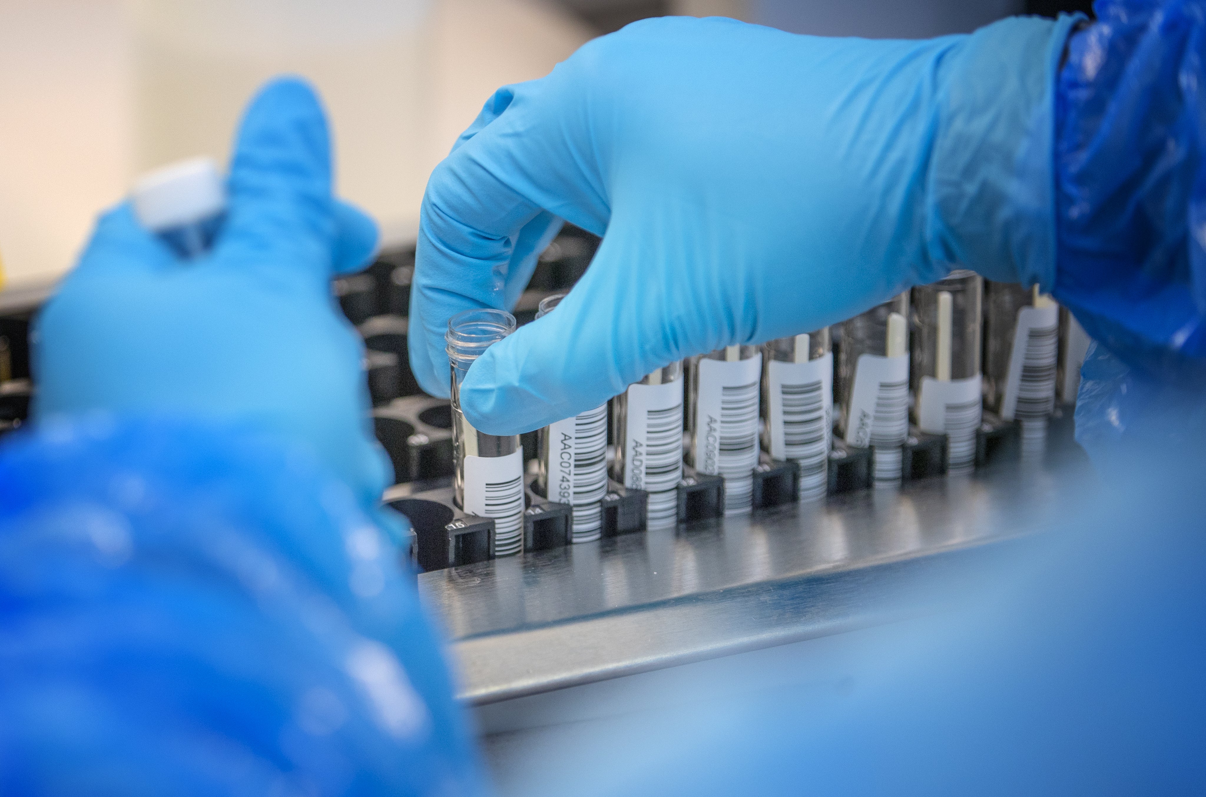 Patient samples are transferred by scientists into plates before entering the PCR (Polymerase Chain Reaction) process for Covid-19 testing (Jane Barlow/PA)