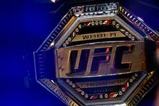 Predicting every year-end UFC champion in 2022
