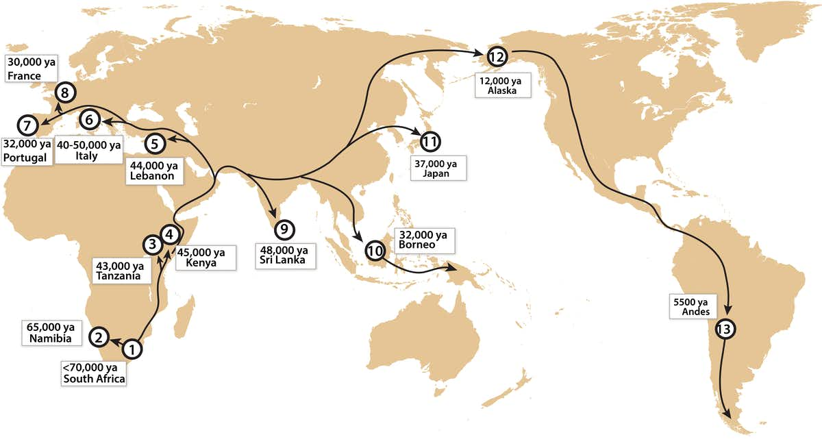 The diffusion of bow and arrow out of Africa