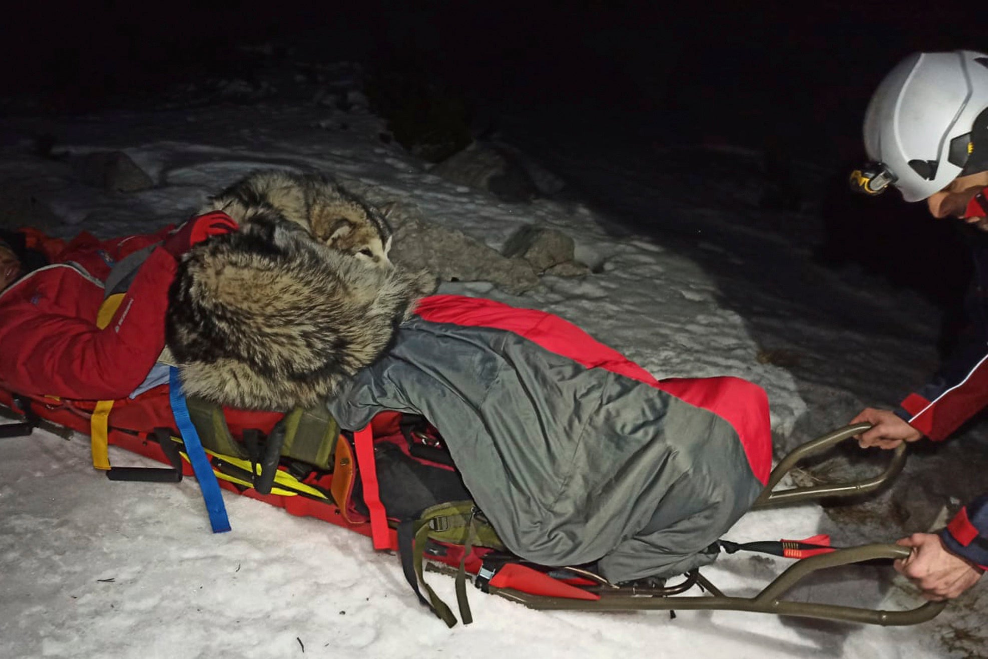 Croatia Hiker's Dog