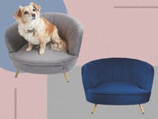 Aldi’s scalloped dog beds are back: Here’s how to buy the velvet pet chairs