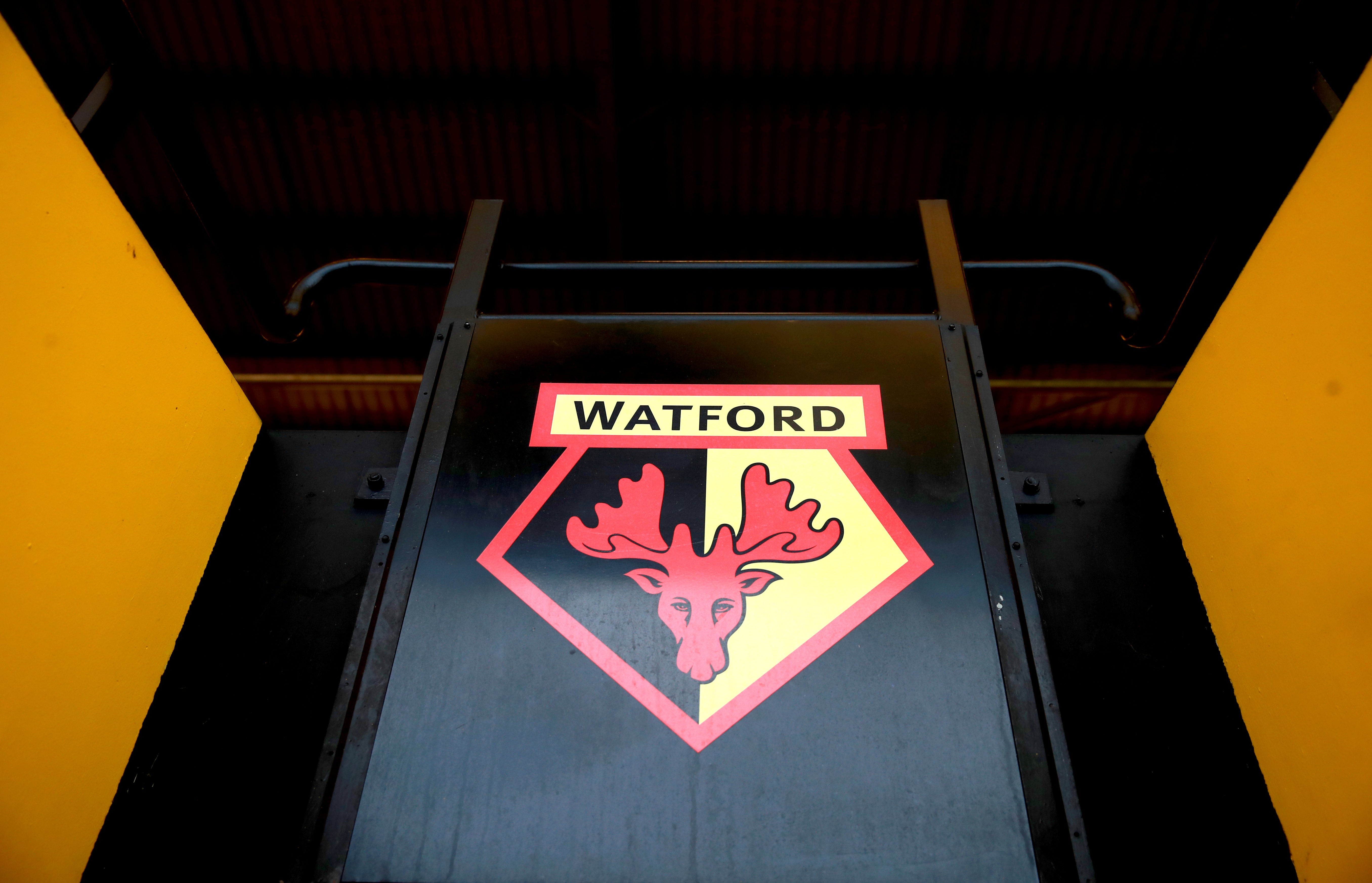 Watford are battling to stay in the Premier League (Adam Davy/PA)