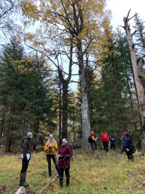 Frida Bjorkman, planning officer for Metsahallitus Forestry Ltd, speaks with Anni Koskela (centre) and Eija Hurme (right) at Sipilanpera