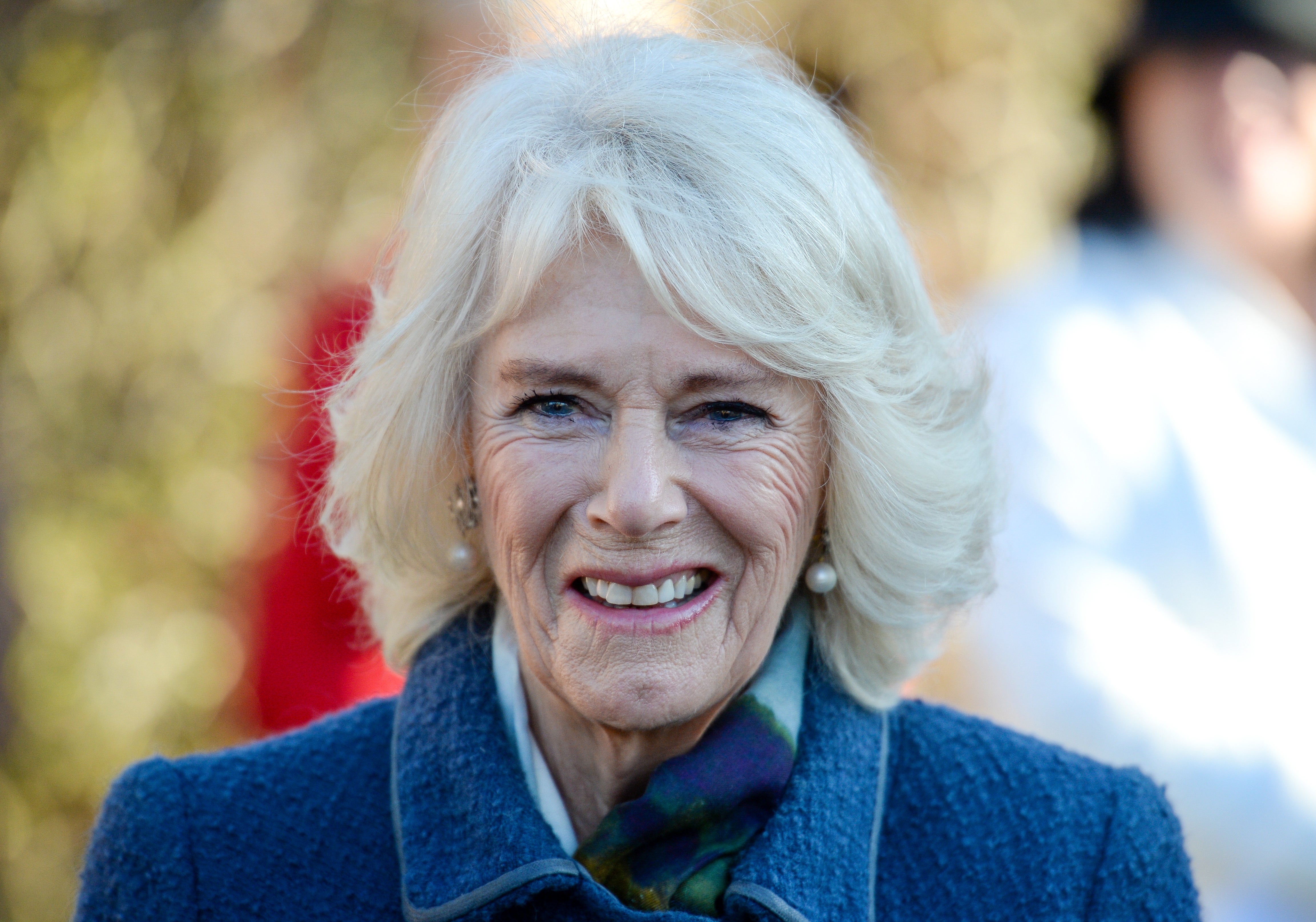 Duchess of Cornwall (Finnbarr Webster/PA)