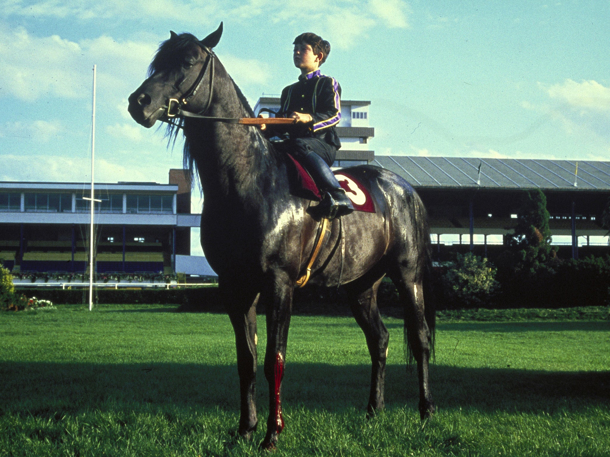 Child actor Kelly Reno as Alec in the saddle of the Black Stallion