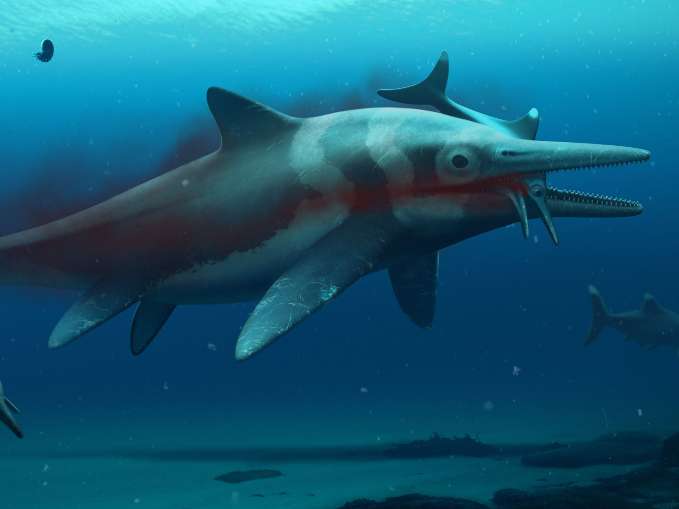 An artist impression of an ichthyosaur