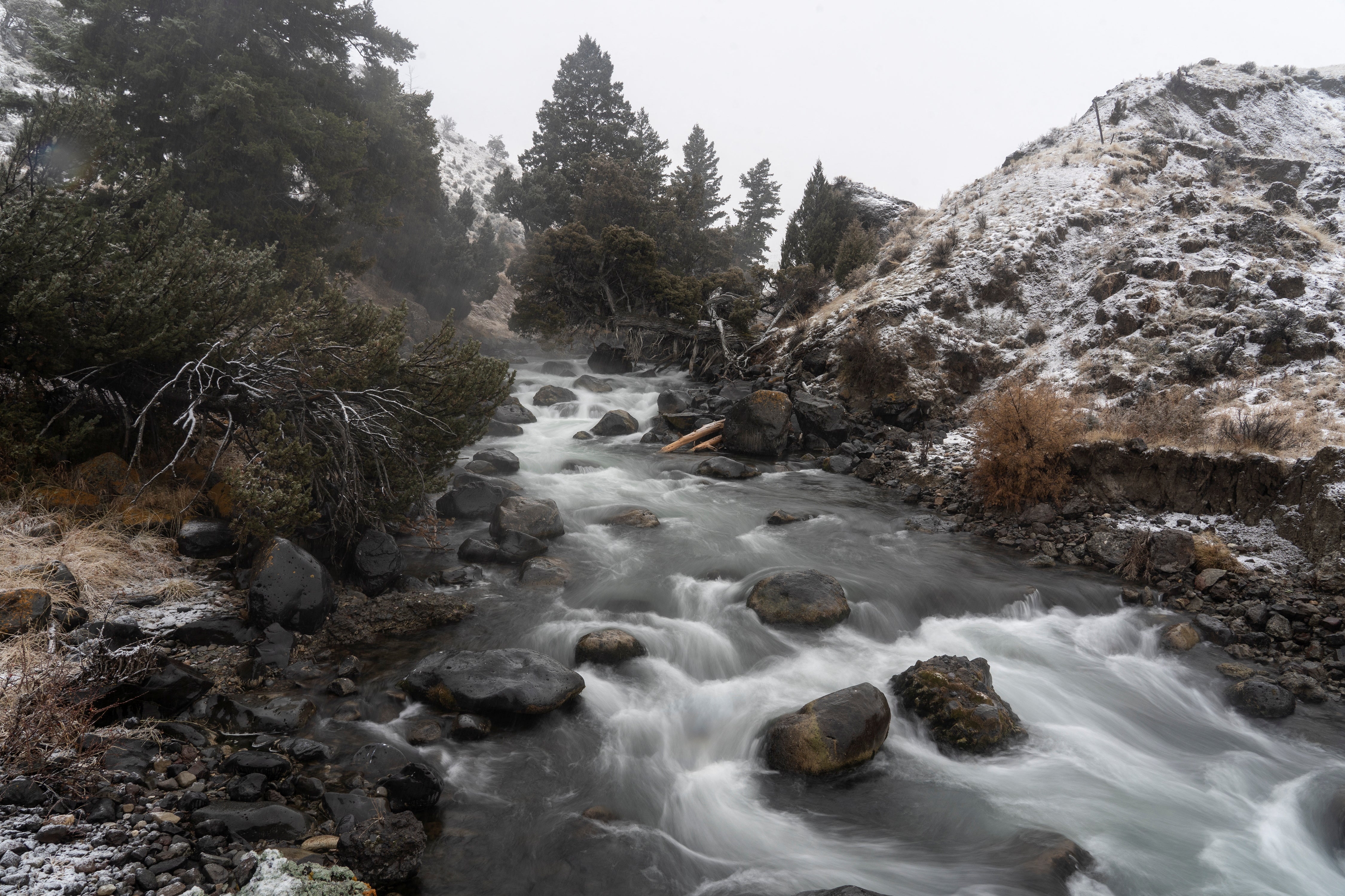 General view of Gardner River near Gardner, Yellowstone National Park, Montana, US. REUTERS/Go Nakamura