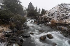 Climate change is helping invasive species take over trout habitats in Montana, study says