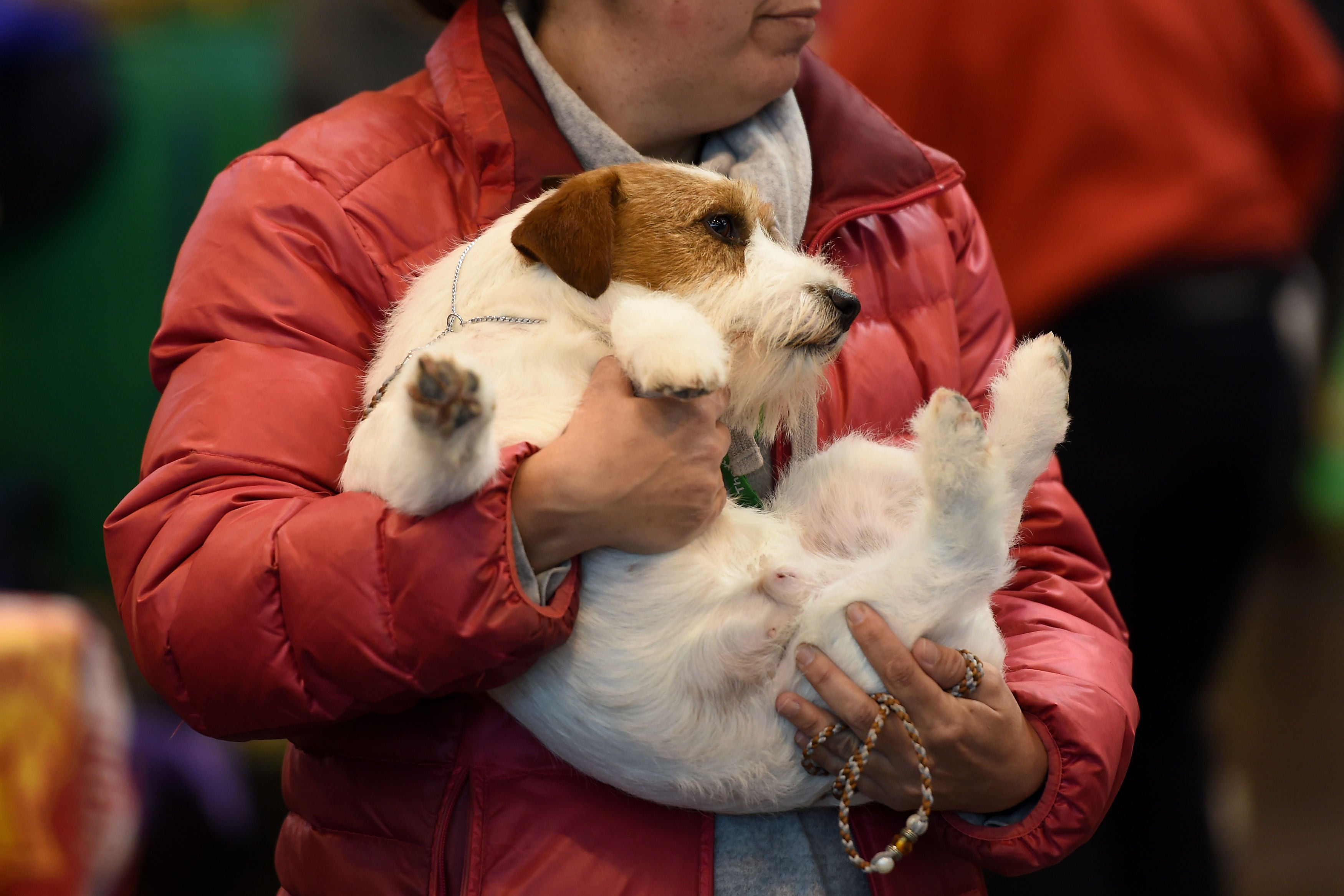 Customers were told to have ‘a cuddle with your pets and loved ones to help stay cosy’ (Joe Giddens/PA)