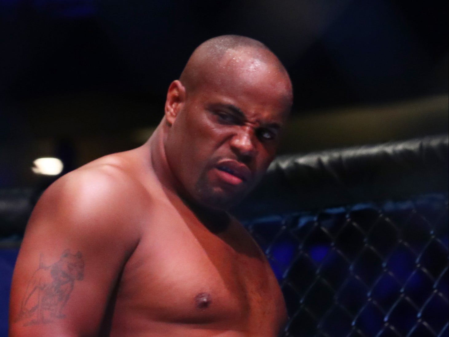 Former heavyweight and light heavyweight UFC champion Daniel Cormier