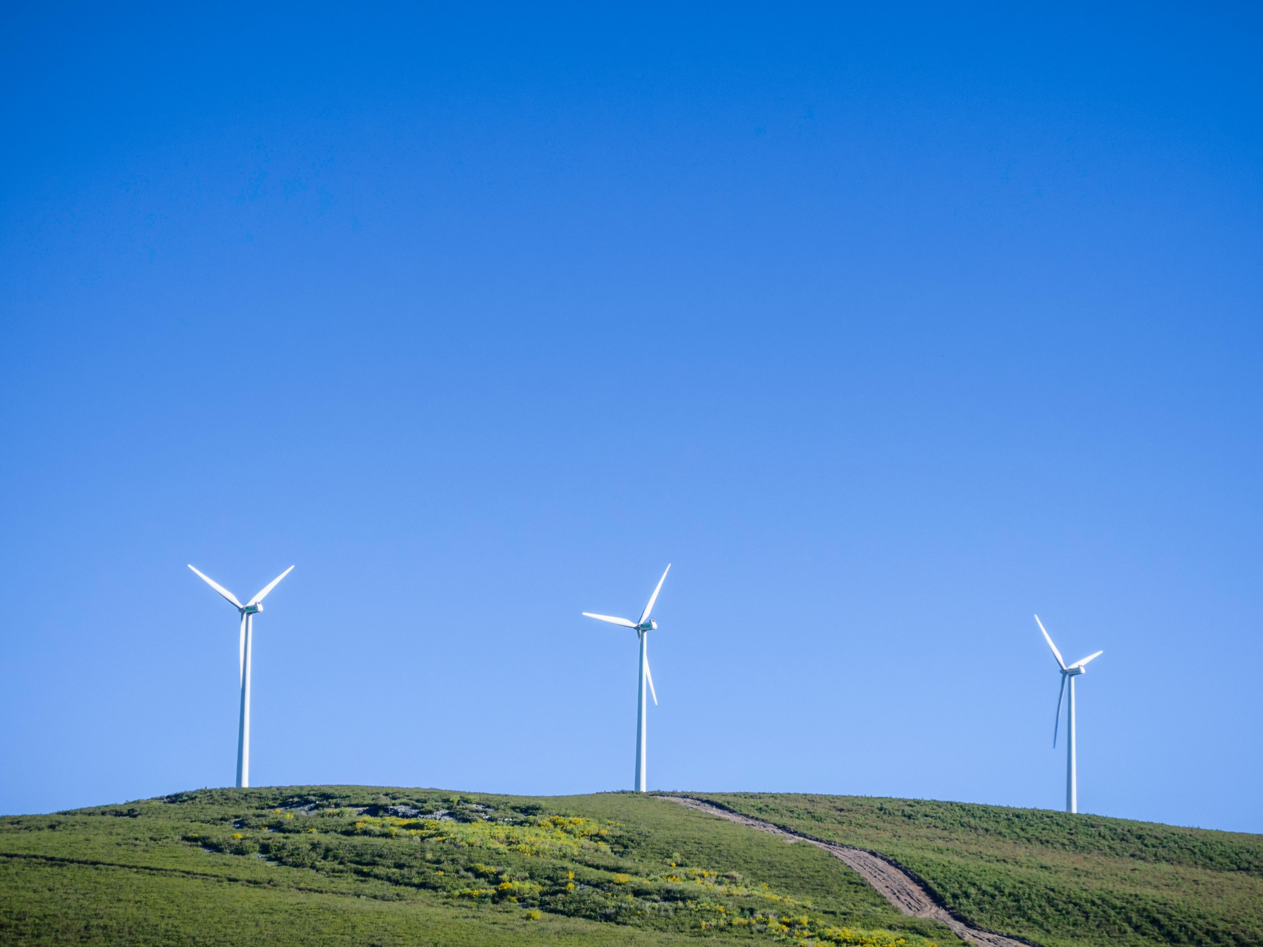 Subsidies for onshore wind farms were banned for a number of years