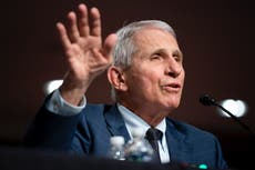 Donald Trump Jr groans about ‘Lord Fauci’ being a victim of Rand Paul