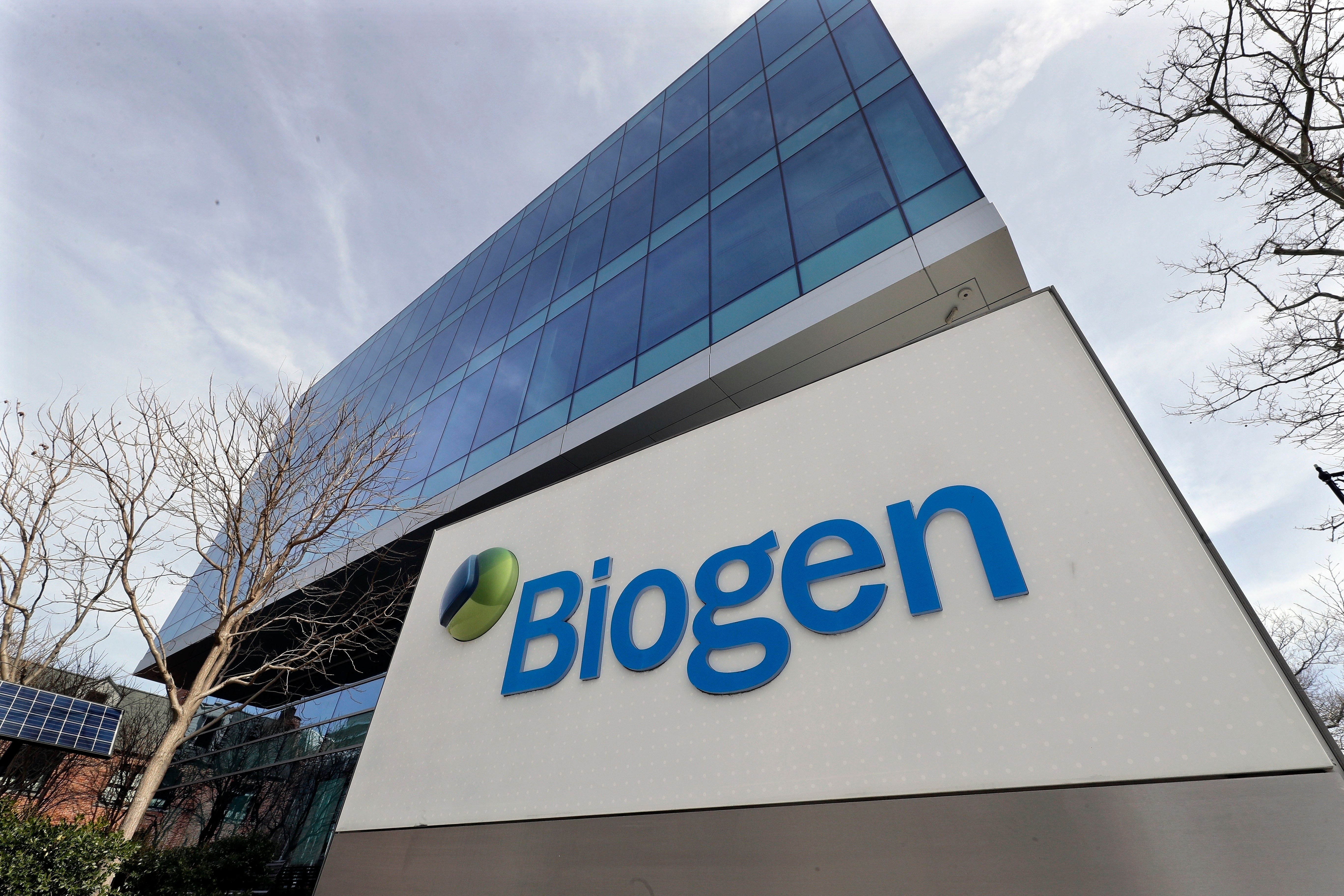 Biogen-Stock Slide