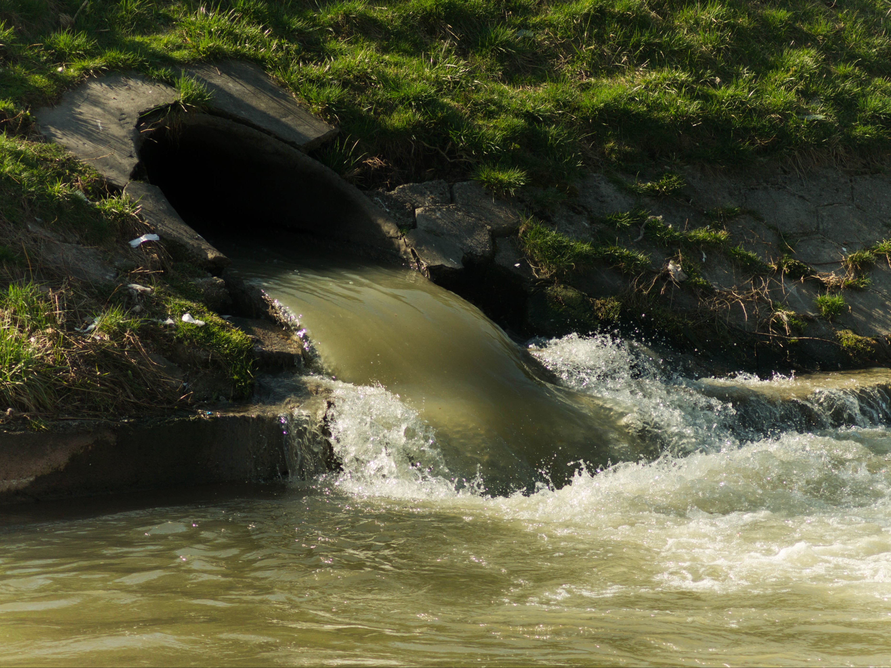 Many rivers in England contain a ‘chemical cocktail’ of pollution, a new report says