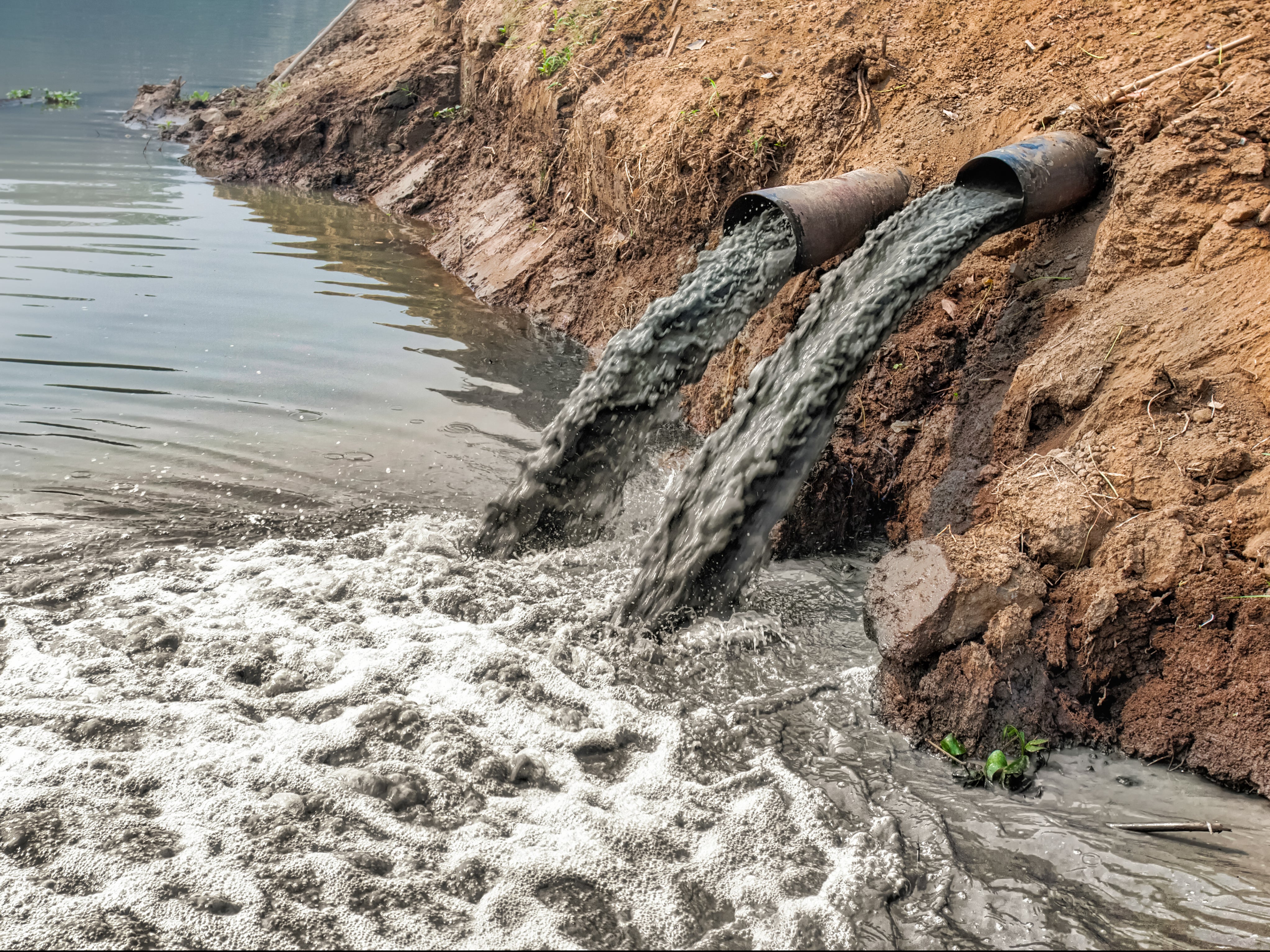 A ‘chemical cocktail’ of pollution is in many of England’s rivers, a new report says