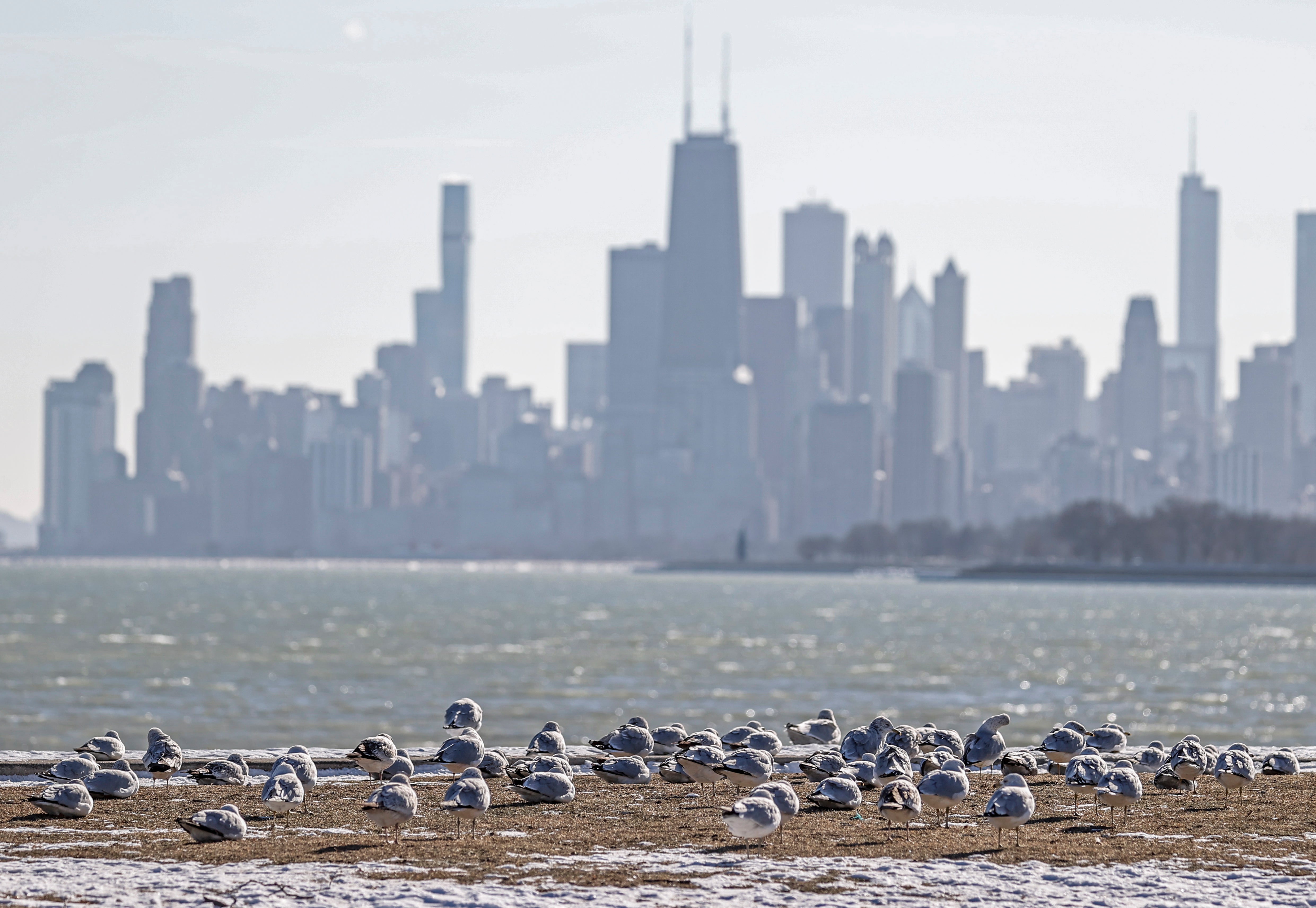 Is Chicago safe to visit?