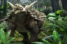 Fossil reveals spiky armoured dinosaur was sluggish, deaf, and less socially active