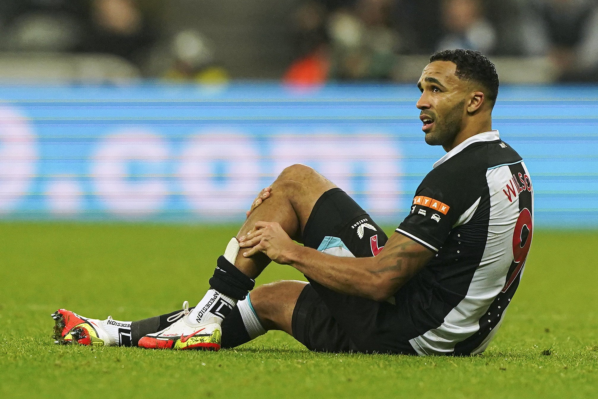 Newcastle striker Callum Wilson is out for eight weeks with a calf injury (Owen Humphreys/PA)