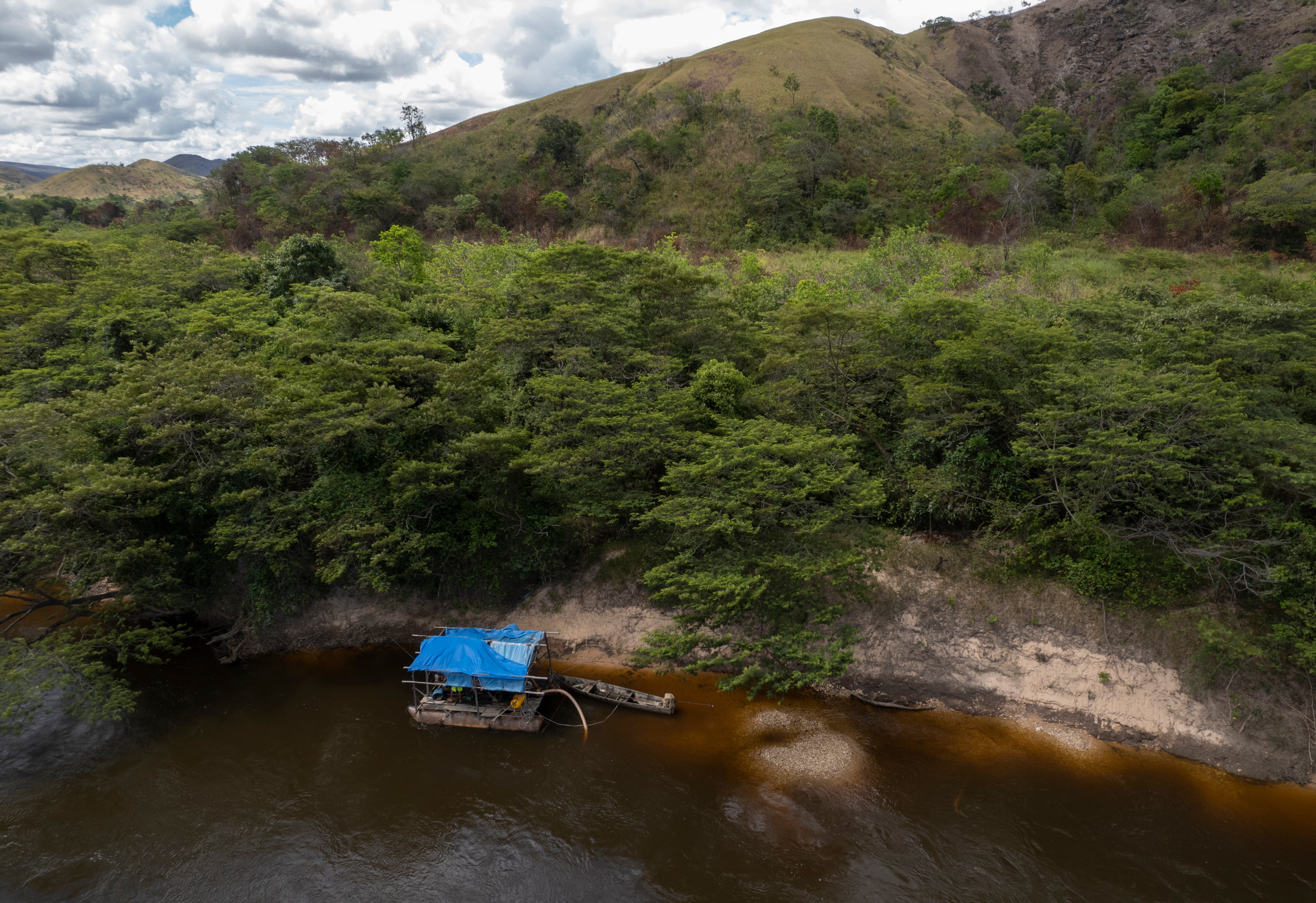 Brazil Tarnished Gold Divisions