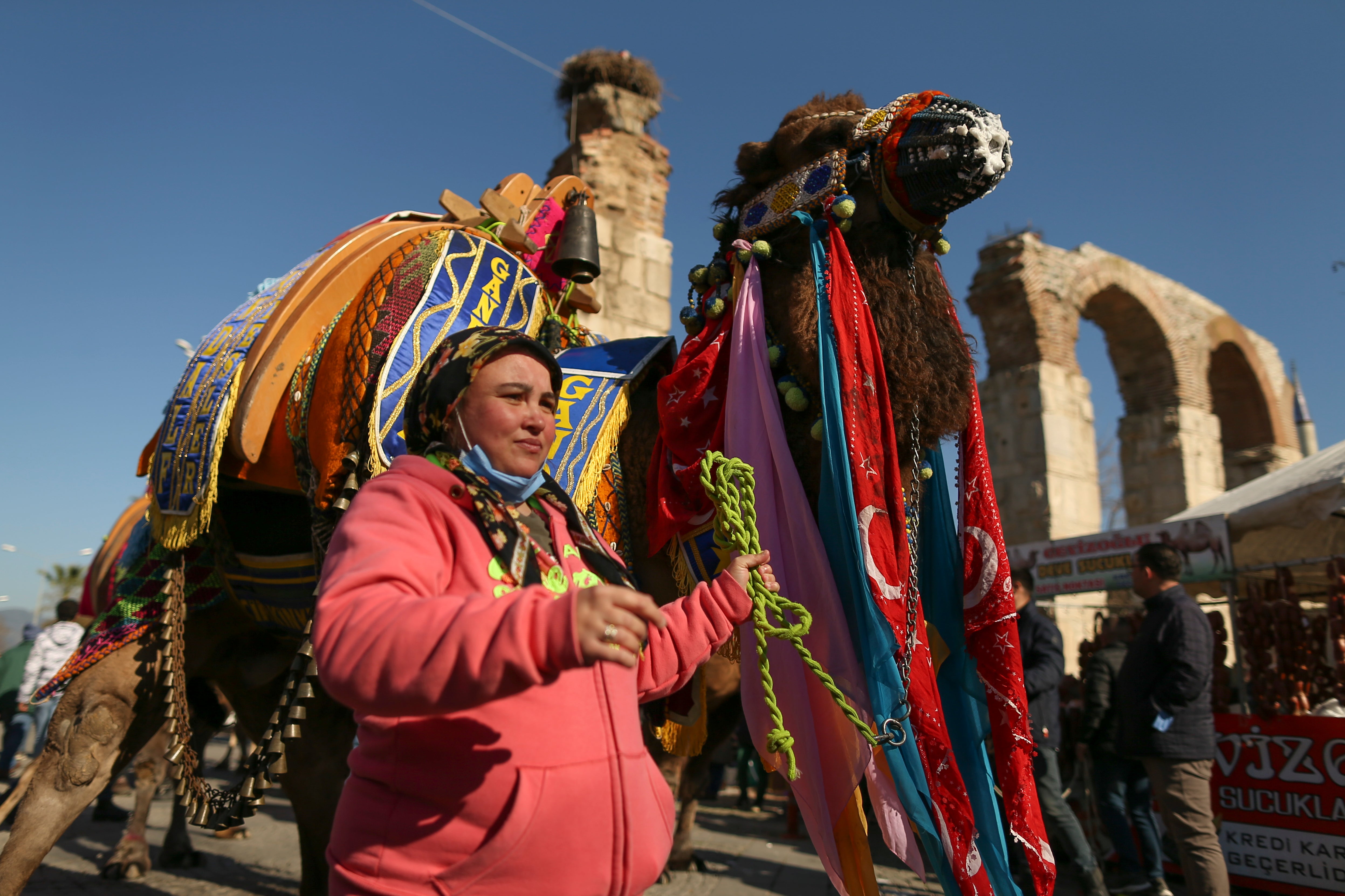 Turkey Camel Wrestling Photo Gallery