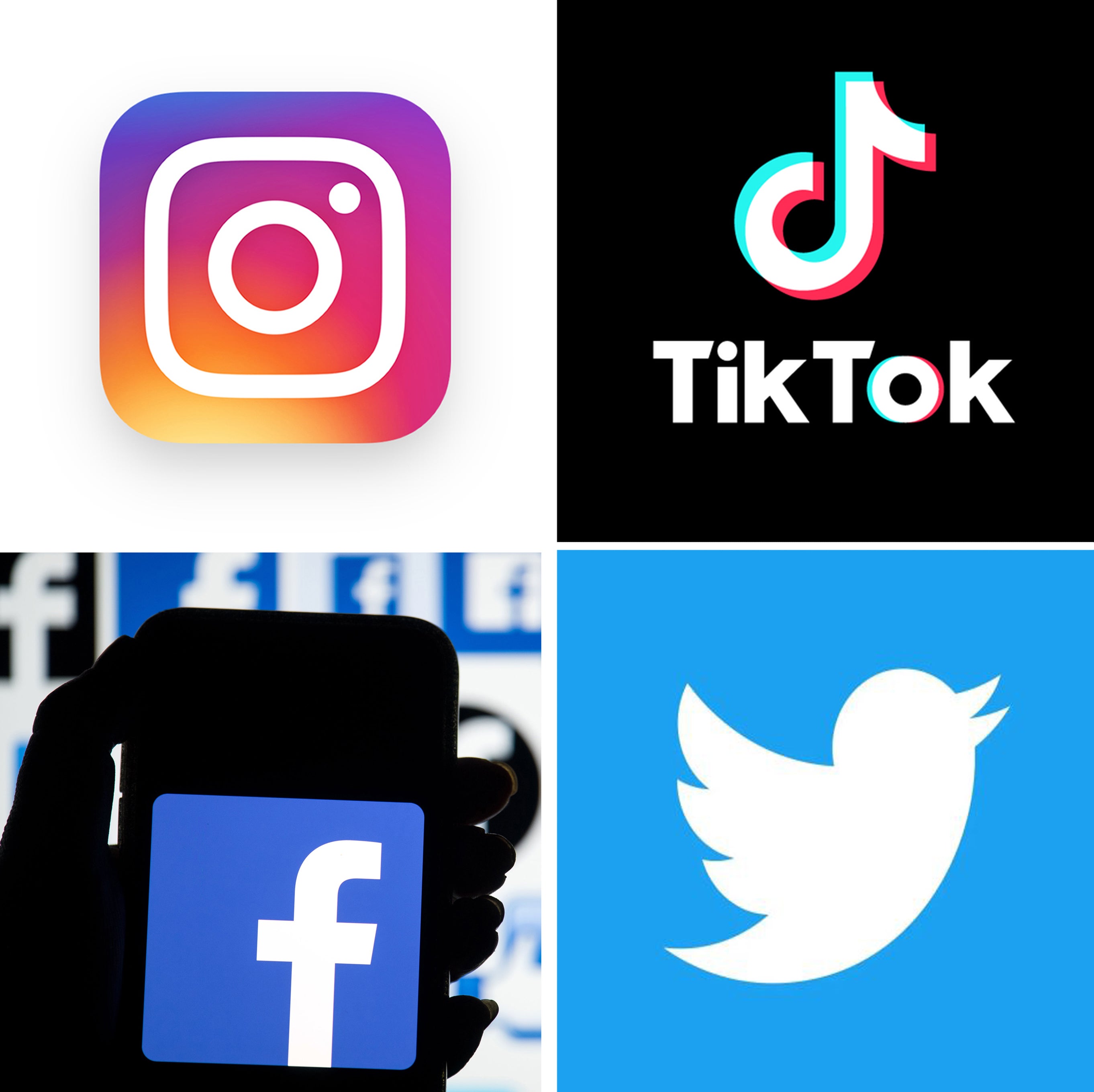 Instagram and TikTok were among the social media platforms being grilled by the Commons committee (PA)