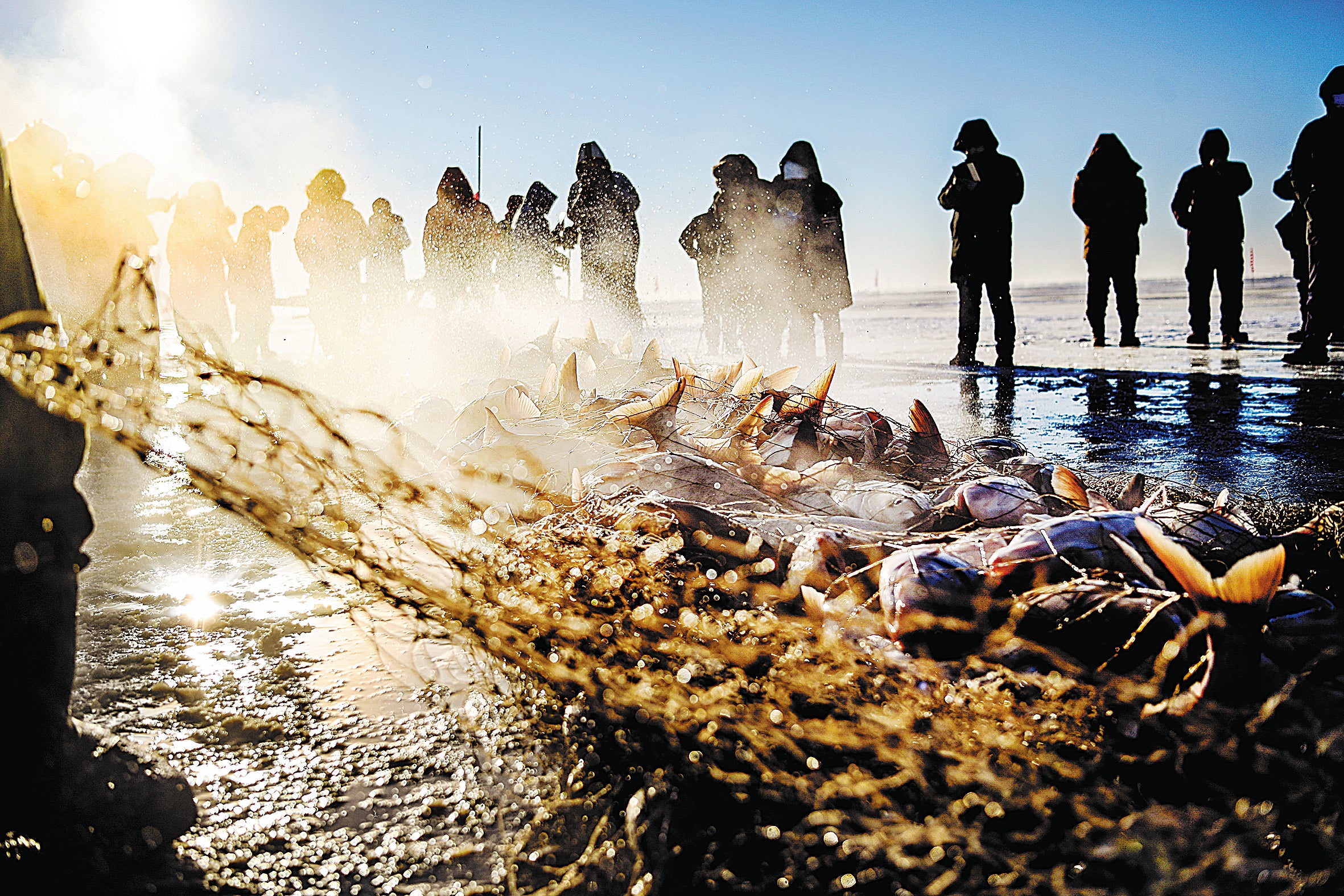 Fishers work together to catch fish on the frozen Chagan Lake on 28 December 2021