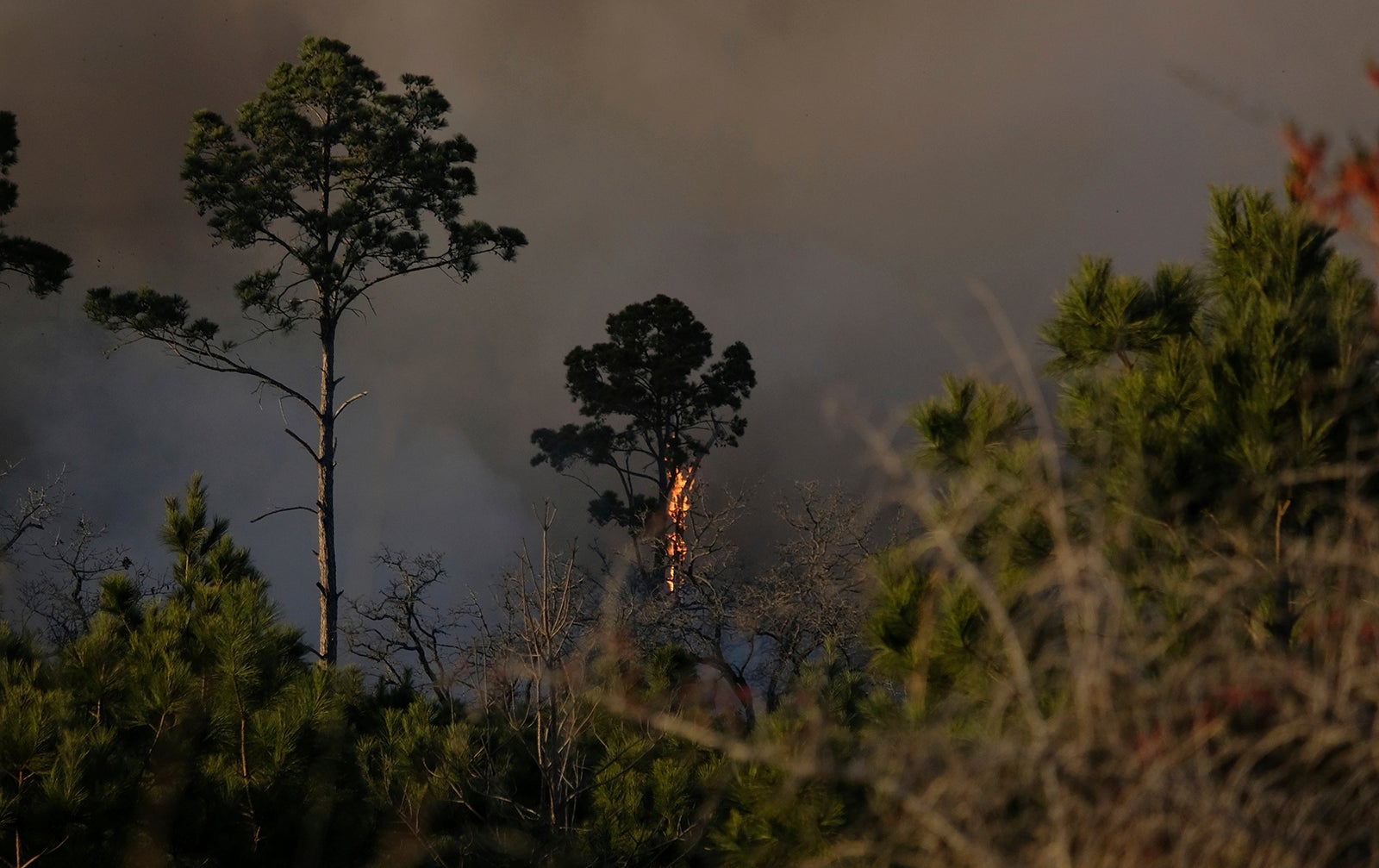 Texas Wildfire