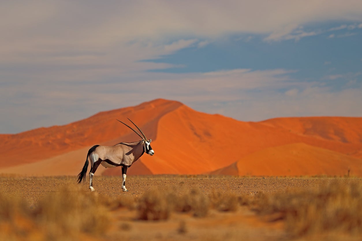 Sossusvlei National Park