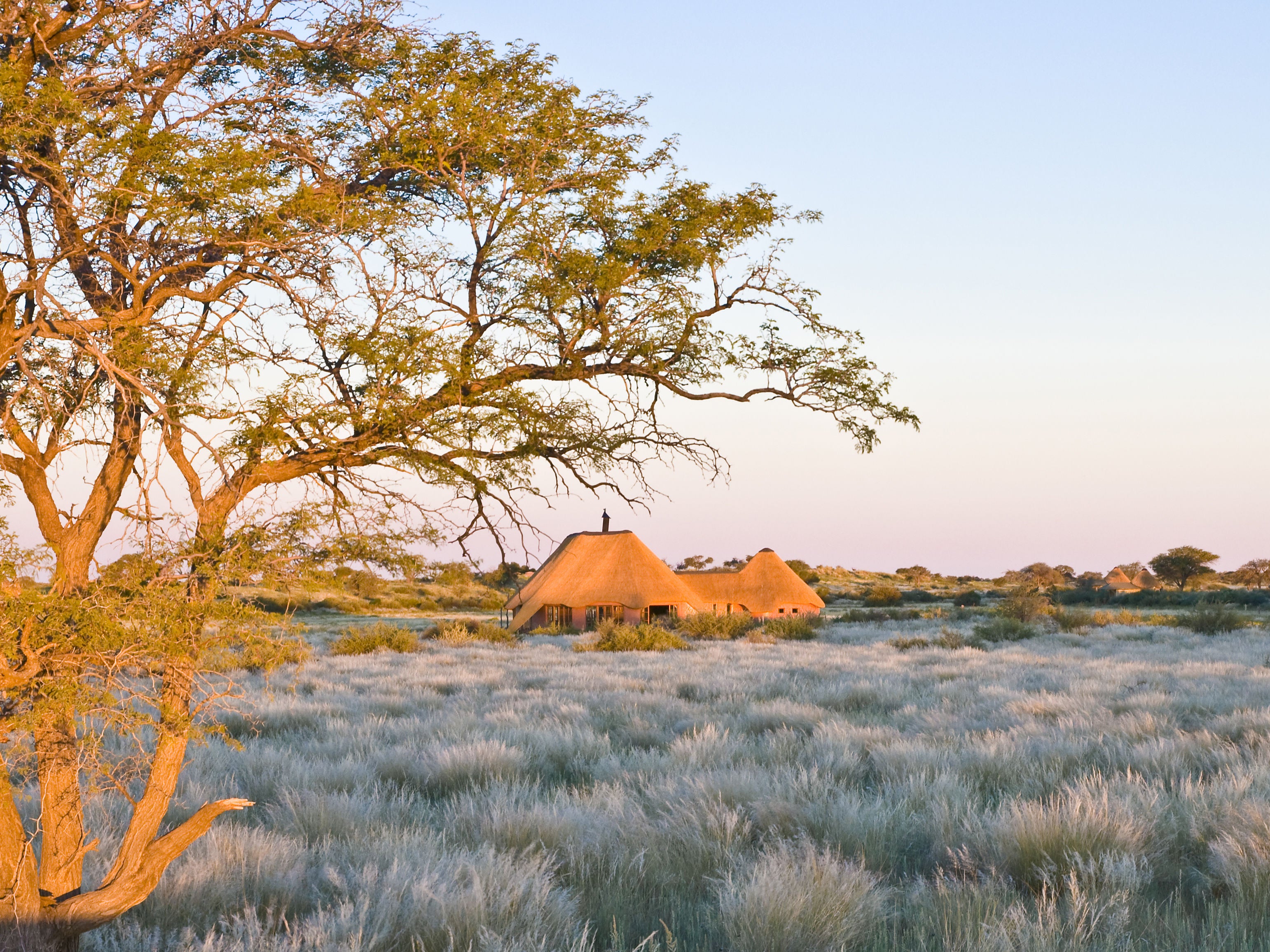 Kalahari Red Dunes