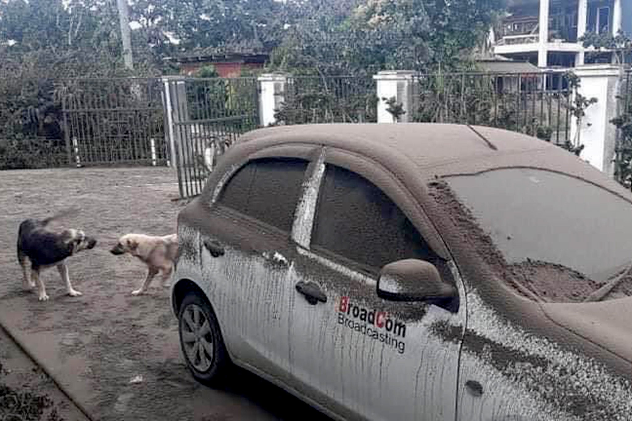 Car covered in a thick layer of ash after eruption