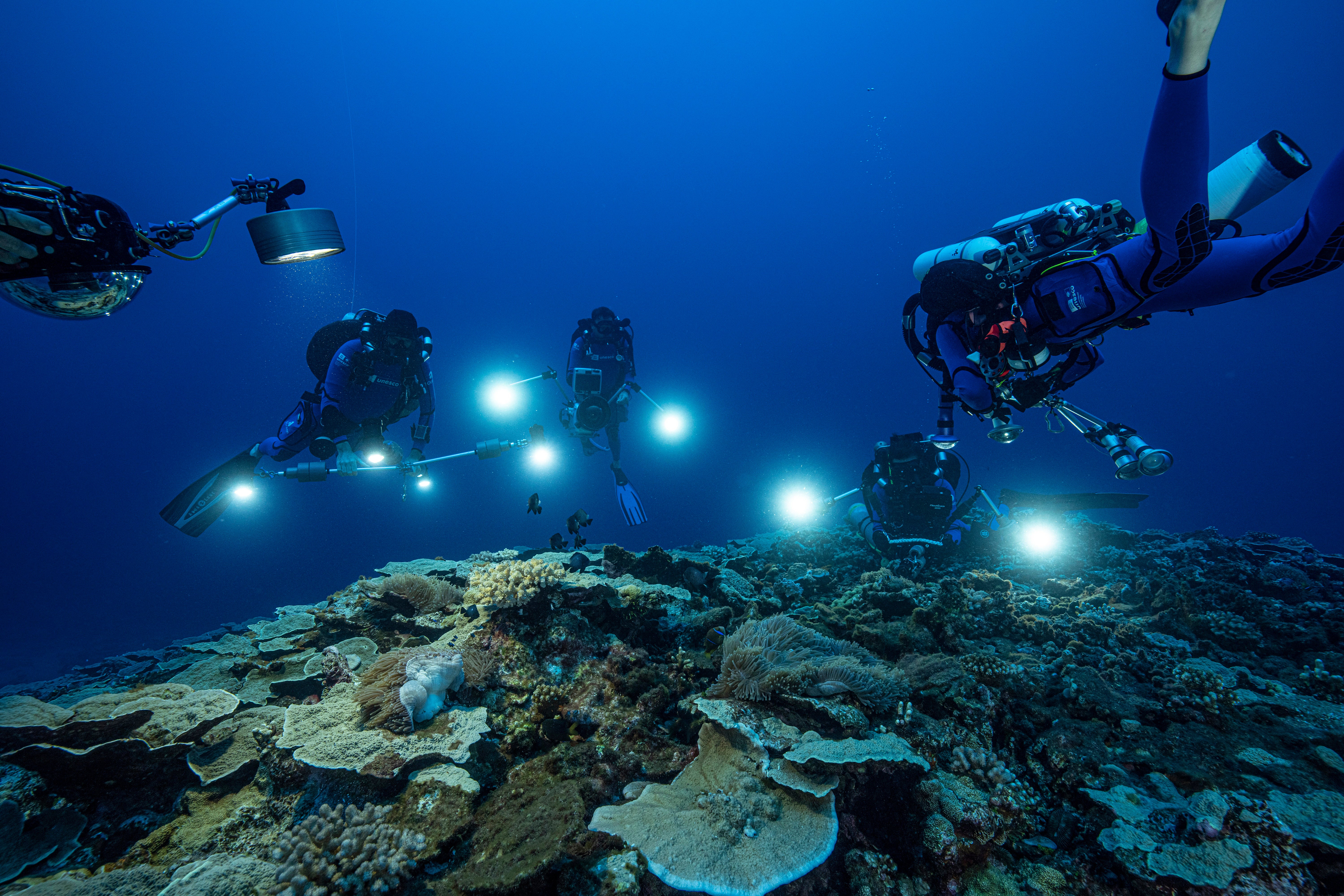 Tahiti Coral Reef