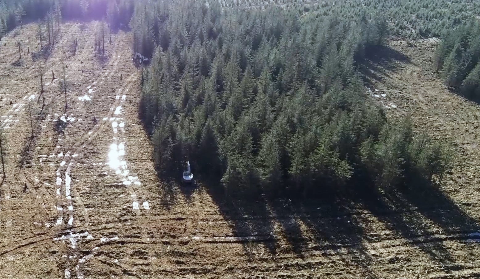 A harvesting machine clears a block of woodland to restore part of the ancient Border Mires in Kielder Forest (Forestry England/PA)