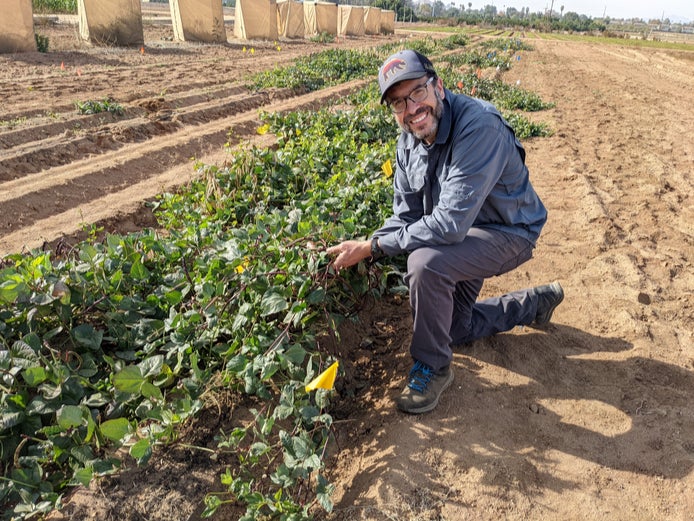 Joel Sachs, UCR professor of evolution and ecology, with black-eyed peas crops